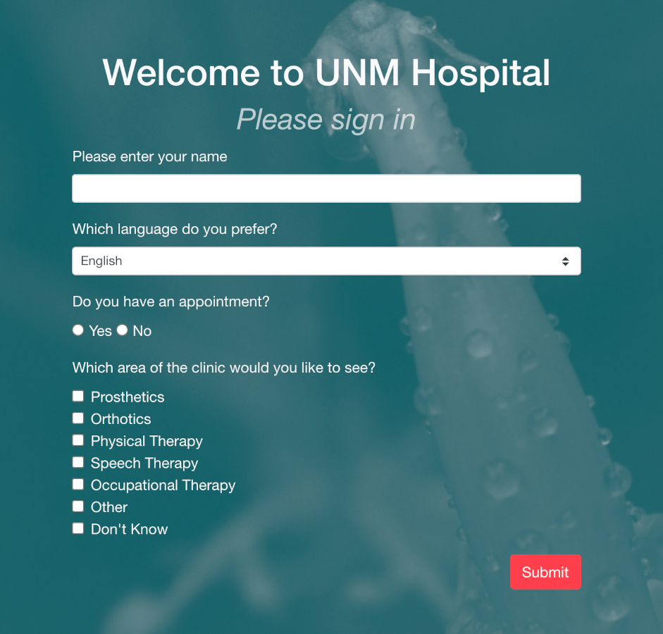 Screenshot of Project: Hospital System Needs User Driven Intake Form System