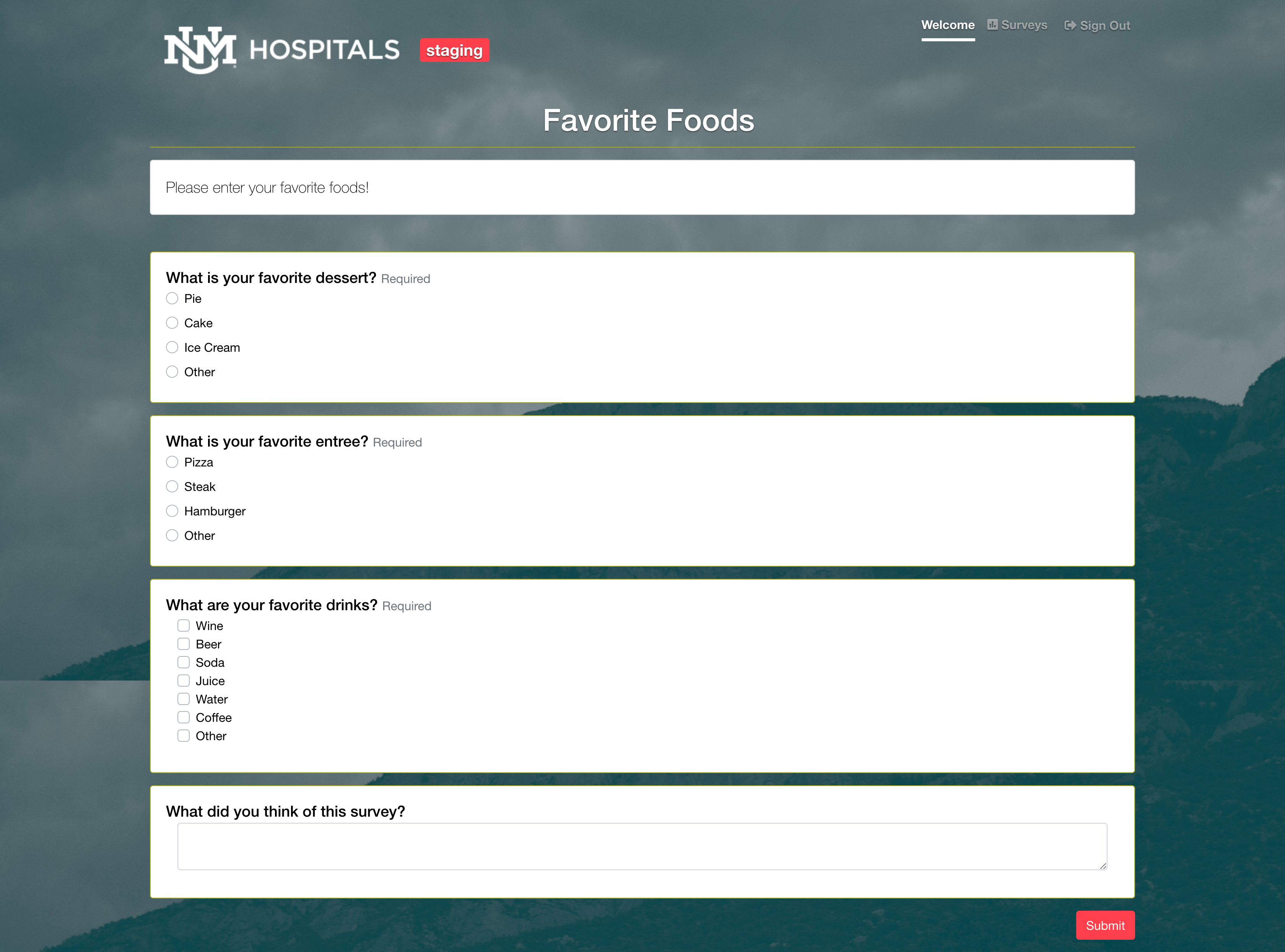 Screenshot of Project: Health System Needs Survey System with User Driven Reporting